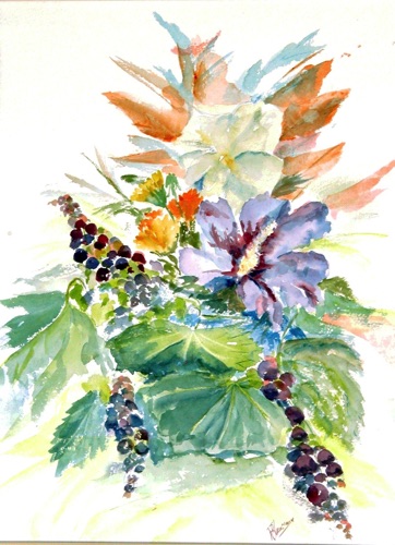 Hibiscus Grapes